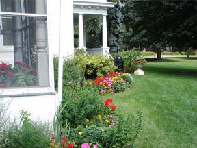 flowering garden and green lawn